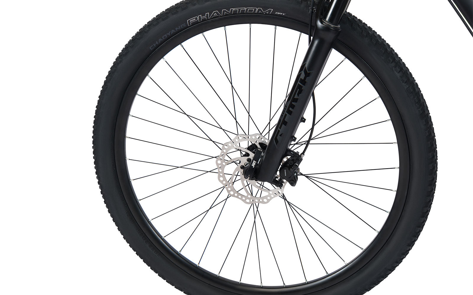 Alien – Brera Cicli